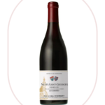 Domaine Remoriquet - Nuits Saint Georges 1er Cru 'Les Damodes' (2022)