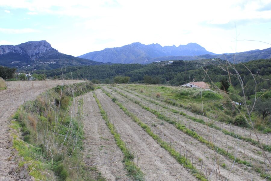Joan De La Casa 05